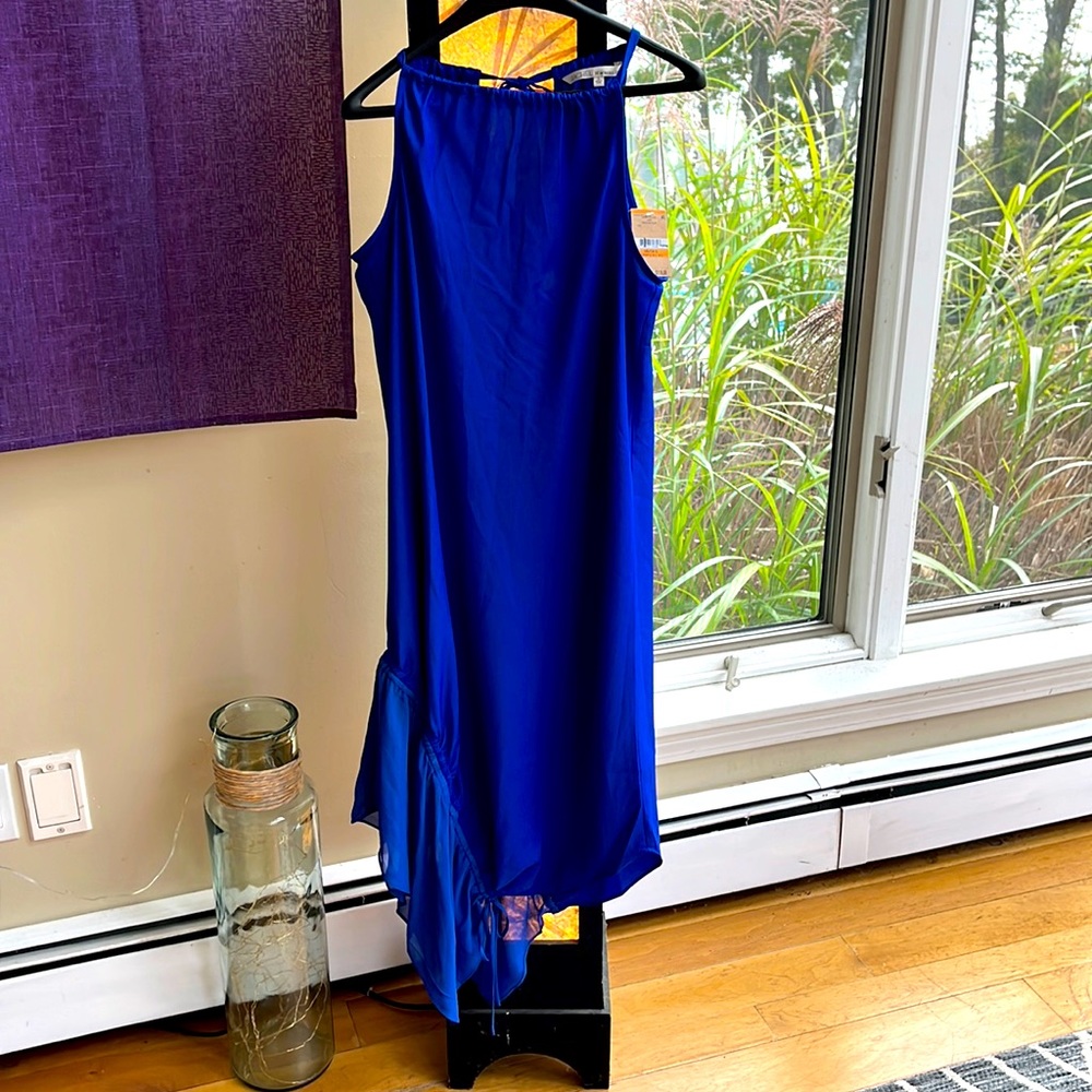 Rachel Roy beautiful dress has a fabulous couture hemline with asymmetrical